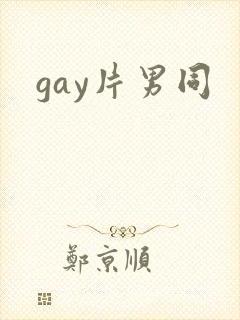 gay片男同