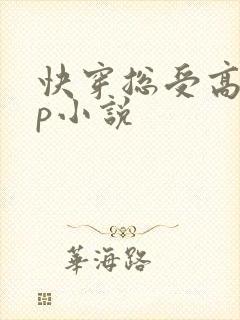 快穿总受高hnp小说