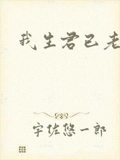 我生君已老小说