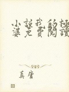 小说我的极品老婆免费阅读全文