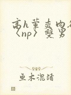 高h荤爽肉欲文〈np〉双男