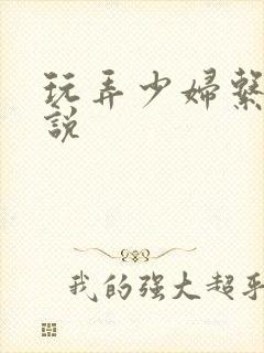 玩弄少妇系列小说