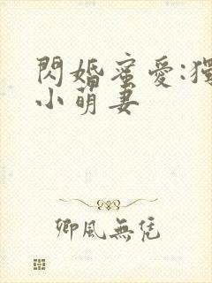 闪婚蜜爱:独宠小萌妻