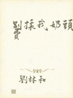 别揉我奶头嗯免费封面