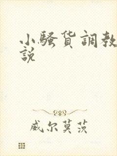 小骚货调教h小说