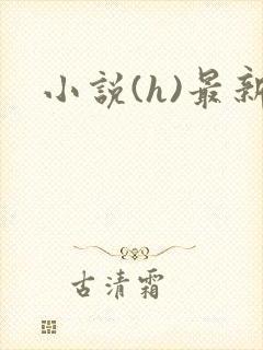 小说(h)最新