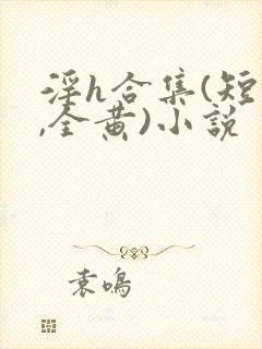 淫h合集(短篇,全黄)小说