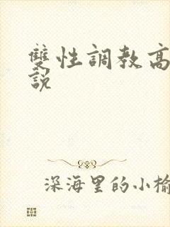 双性调教高h小说