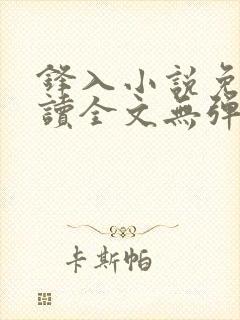 锋入小说免费阅读全文无弹窗