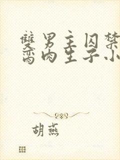 双男主囚禁强制脔肉生子小说