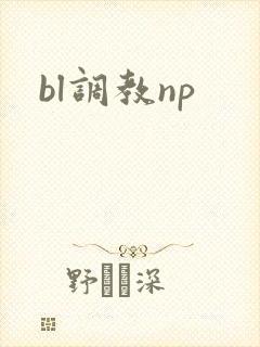 bl调教np封面