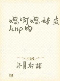 嗯啊嗯好爽啊高hnp肉