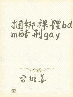 捆绑裸体bdsm酷刑gay