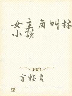 女主角叫林舒的小说