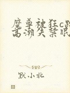 魔尊被狂c躁到高潮失禁眠春浅