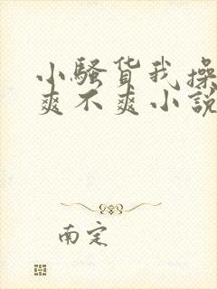 小骚货我操的你爽不爽小说