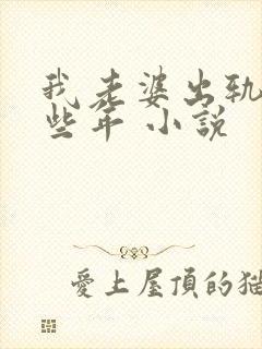 我老婆出轨的那些年 小说