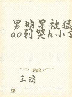 男明星被猛男cao到哭h小说封面