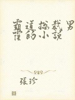 霸道总裁男主姓霍的小说