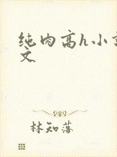 纯肉高h小说辣文