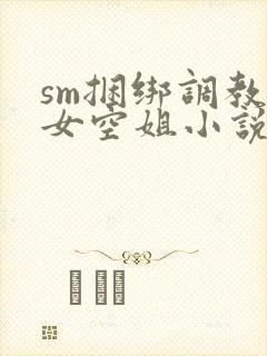 sm捆绑调教美女空姐小说