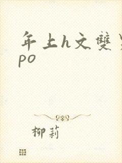 年上h文双男主po封面