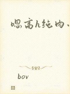 嗯高h纯肉小说封面