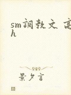 sm调教文 高h