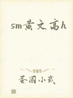 sm黄文高h