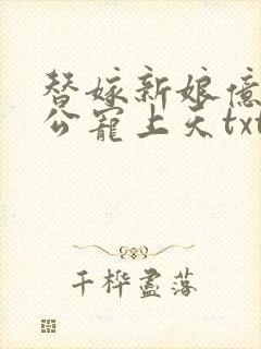 替嫁新娘亿万老公宠上天txt全集下载