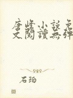 唐峰小说免费全文阅读无弹窗封面