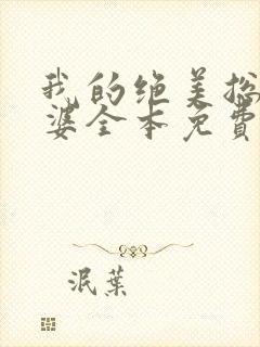 我的绝美总裁老婆全本免费阅读封面