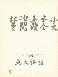 林洁秦齐小说免费阅读全文最新章节