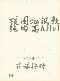 校园sm调教(纯肉高h)1v1