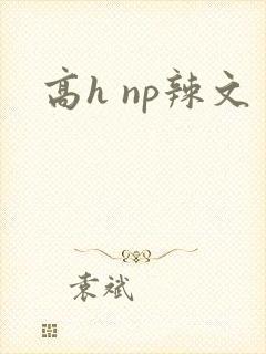 高h np辣文封面