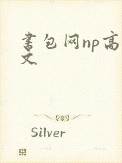 书包网np高辣文封面