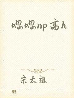嗯嗯np高h封面