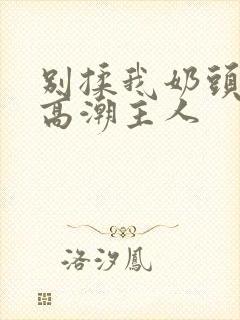 别揉我奶头嗯啊高潮主人封面