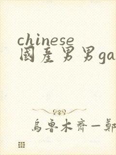 chinese国产男男gaygay网站