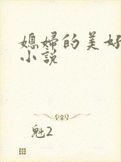 媳妇的美好时代小说