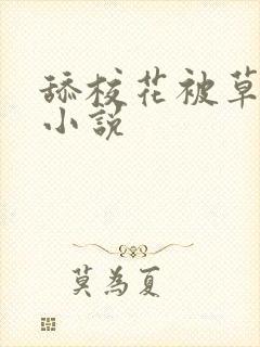 舔校花被草到爽小说封面