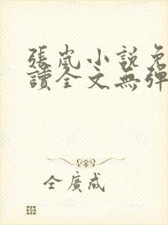 张岚小说免费阅读全文无弹窗封面