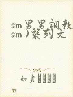 sm男男调教(sm )系列文