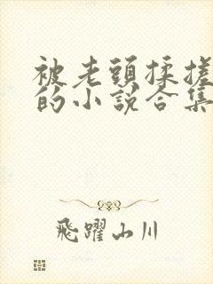 被老头揉搓奶头的小说合集