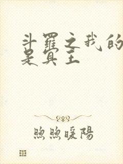 斗罗之我的武魂是冥王