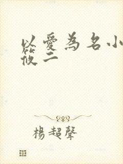 以爱为名小说梦筱二封面