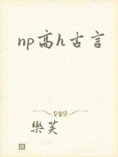 np高h古言
