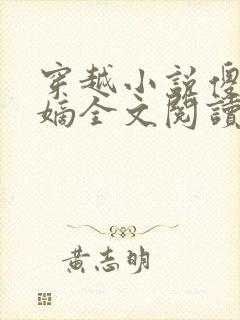 穿越小说傻王夺嫡全文阅读