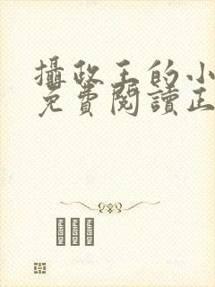 摄政王的小闲妻免费阅读正版