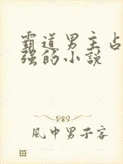 霸道男主占有欲强的小说封面